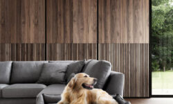 divano dog sofa